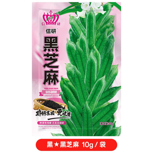 Xinyan high-yielding sesame seeds, four-sided, high-oil, multi-resistant black and white sesame seeds planted in farm fields, spring and summer four-season vegetable seeds, high-yielding black sesame seeds, black sesame seeds, 10g*1 bag