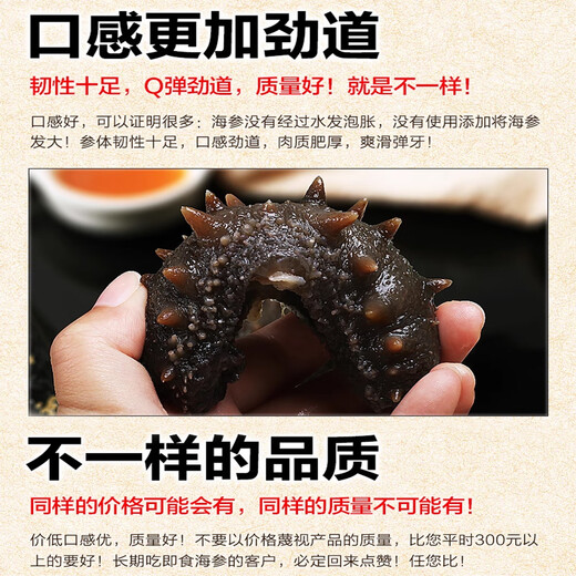 缤鲜 即食海参 免泡发海参大连瓦房店鲜活刺参新鲜净500g 7年海参送礼 开袋即食海参【20-40只/斤】 2斤装