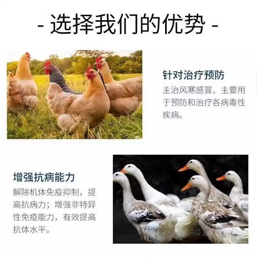 Freeze-dried powder for ducks, chicken, duck and goose diseases freeze-dried powder, soft foot, lame disease, serositis, anti-viral veterinary breeding medicine, one bag, complete treatment of chicken, duck and goose diseases