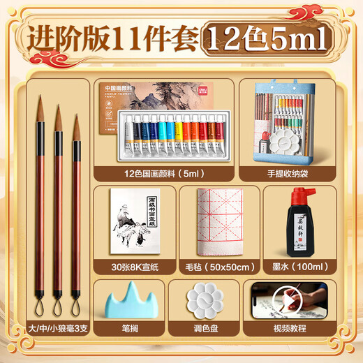 Deli (deli) traditional Chinese painting paint beginner's handbag set ink painting tools for entry-level art students, special Chinese painting paint for primary school students, brush painting complete set, free nylon mesh portable storage bag, 12 colors, 5ml-11 pieces set