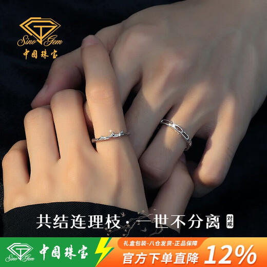 Chinese Jewelry Pure Silver Couple Ring with Branches for Men and Women, Proposal and Confession Anniversary, Birthday Gift for Girlfriend