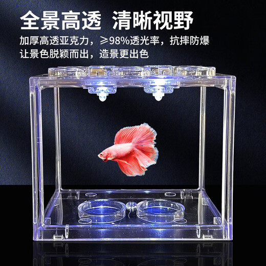 Trendy lifestyle electrical appliances lantern fish tank, fish tank + 2 lanterns (comes with colorful stones and aquatic plants)