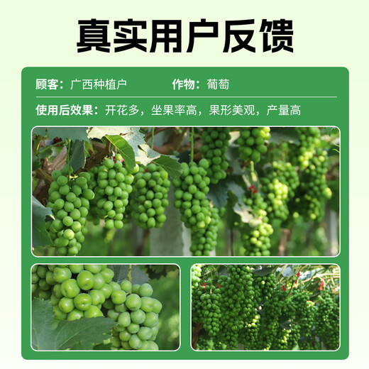 Sinochem Fertilizer Granules Boron Slow Release Boron Fertilizer for Citrus Fruit Trees, Corn and Wheat Special Soybean and Vegetable Granules for Spreading General Fertilizer