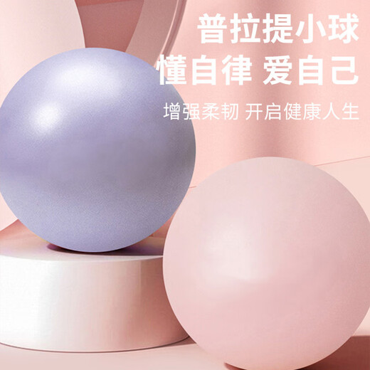 Sino-European Yoga Ball Small Ball Pilates Training Pelvic Floor Muscle Fitness Core Yujia Equipment Sports Elastic Ball Home Purple 2 Pieces Diameter 25cm More Yoga Ball Sizes