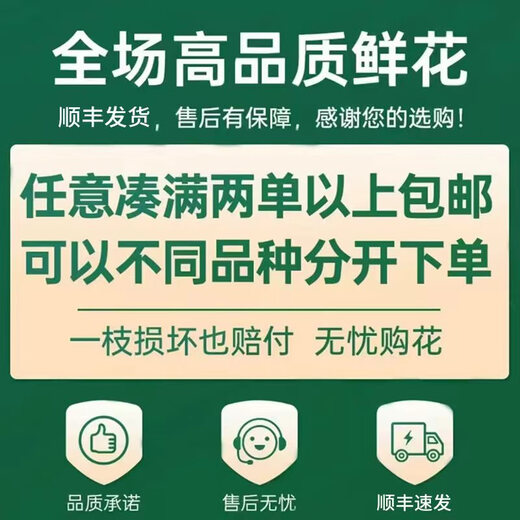 Yunnan flowers wholesale quality rose lily water-grown fresh cut flowers for your girlfriend's birthday gift straight from the source Aisha (Iron Head Princess) - 20 pieces, choose 2 pieces, no shipping fee