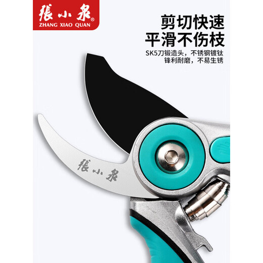 Zhang Xiaoquan pruning scissors, garden flower arrangement, fruit tree pruning, large and labor-saving household tools, scissors, SK5 fine grinding mouth