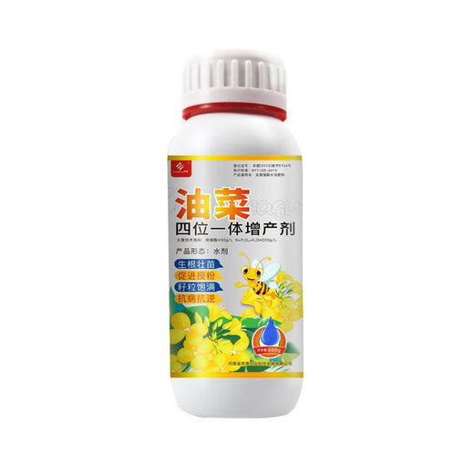 High-yield rapeseed, full grains, strong growth, increased yield, special rapeseed baby grains, plump grains, increased yield, boron fertilizer, 1 set of high-yield combination special fertilizer + boron fertilizer