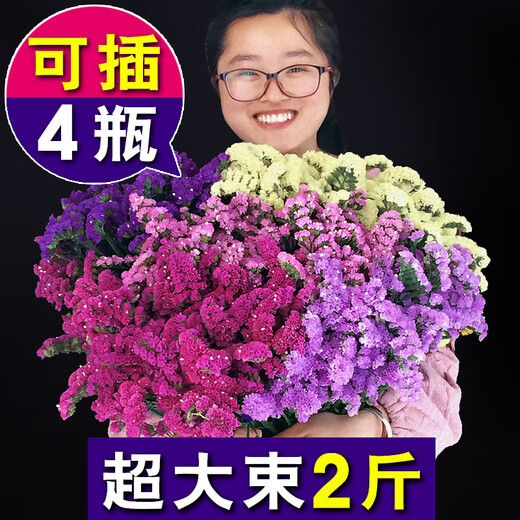 LDVEP Yunnan Forget-Me-Nots Dried Flower Bouquet of Gypsophila Real Flowers Purple Forget-Me-Nots 2Jin Jin equals 0.5kg