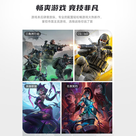 Colorful Family Bucket Core i5 12490F/5060/16G/512G E-sports game designer desktop delta host assembly computer