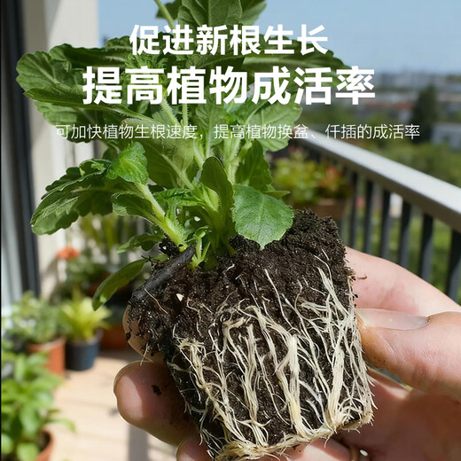 Deli nutritional soil universal flower growing soil succulent orchid soil peat soil planting soil flower growing vegetable potting soil 10L