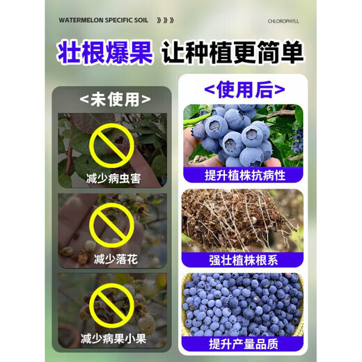 LDVEP blueberry special fertilizer organic nutrient solution for plant potting general aqueous liquid fertilizer for root strengthening and seedling treatment for yellow leaves exquisite combination package blueberry special nutrient solution 50