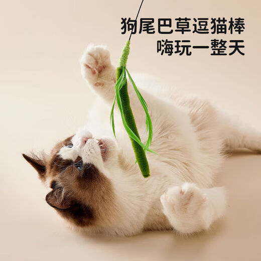 Cat Toy Dog Tail Grass Long Cat Flirting Stick Cat Toy Self-Happiness and Boredom Relief Artifact Kitten Toy Cat Supplies Dog Tail Grass Flirting Cat Stick Green 1 Pack