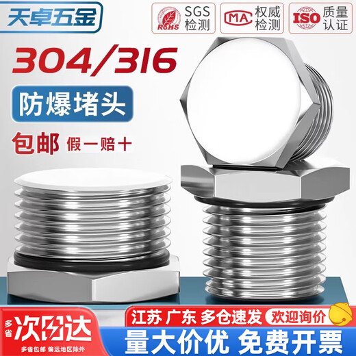 Tianzhuo Hardware 304 stainless steel external thread plug M-G-NPT metal solid joint explosion-proof waterproof dustproof plug cover G1/2 (4 points DN15) 304 material