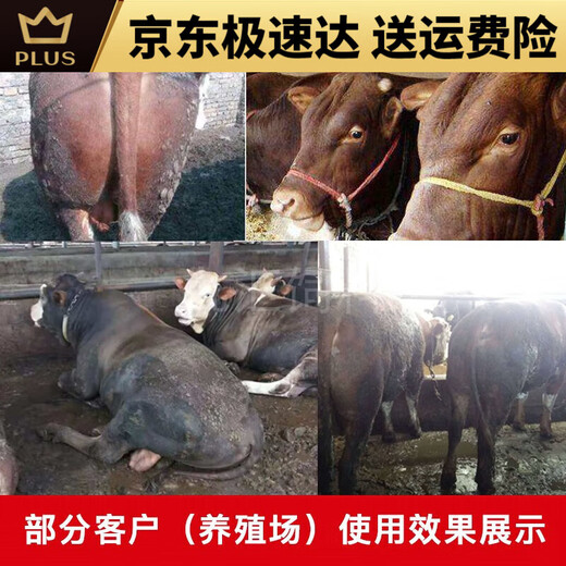 Mu Chun'ao calf open feed calf feed pellets meat and milk cattle supplement fattening growth promotion feed 80 calf feed 40Jin Jin is equal to 0.5kg 15 days-6 months old