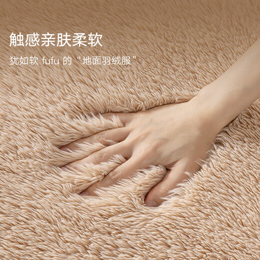Dajiang bedside carpet bedroom high-end dressing room long thick plush cushion bedside carpet 60x160cm