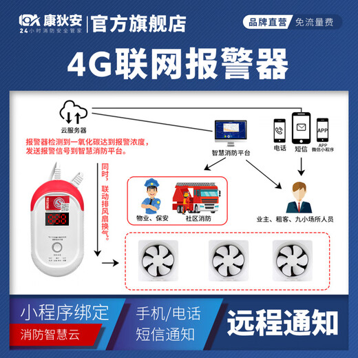 Carbon monoxide alarm household indoor soot coal stove honeycomb briquette poisoning detector detector independent (plug-in type) CO alarm