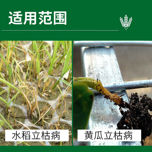 30% metalaxalin for cucumber wilt, fruit tree root rot, root rot, special pesticide bad soil 100g*2 bottles