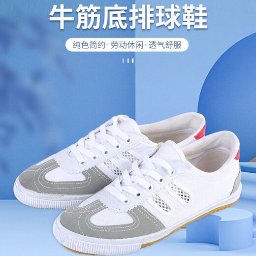 淇丝蔓排球鞋牛筋底训练武术锻炼运动帆布鞋劳保跑步网鞋中考田径鞋 排球鞋-白色 42