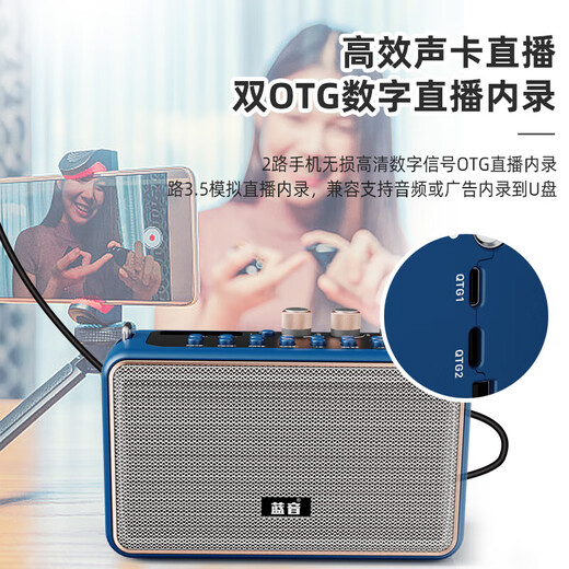 Lanyin Q12 electric blowpipe saxophone special speaker guitar playing and singing live broadcast internal recording instrument outdoor portable Bluetooth speaker Q12-Peacock Blue full set of accessories + storage bag