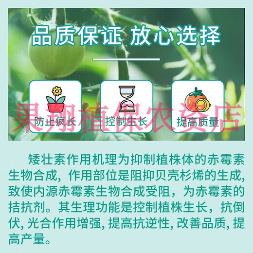 Guoguang 50% chlormequat corn, wheat and cotton anti-crazy growth control and growth drug anti-lodging pesticide plant growth regulator 500ml*20 bottles whole box