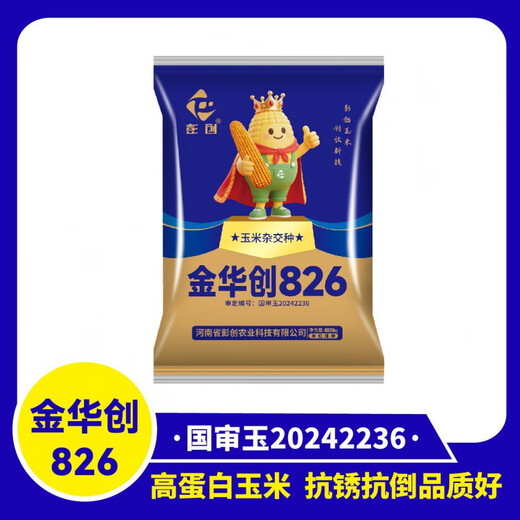 Jinhuachuang 826 new corn seed that is resistant to density, resistant to disease, lodging, rust and stable yield, 4826 grains/bag, 1 bag