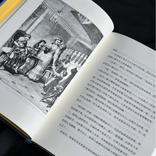 The Sorrows of Young Werther, Illustrated Collector's Edition, Houlang, the founder of classicism, Goethe's famous work, contains rare prints, and comes with a beautiful bookplate Dangdang