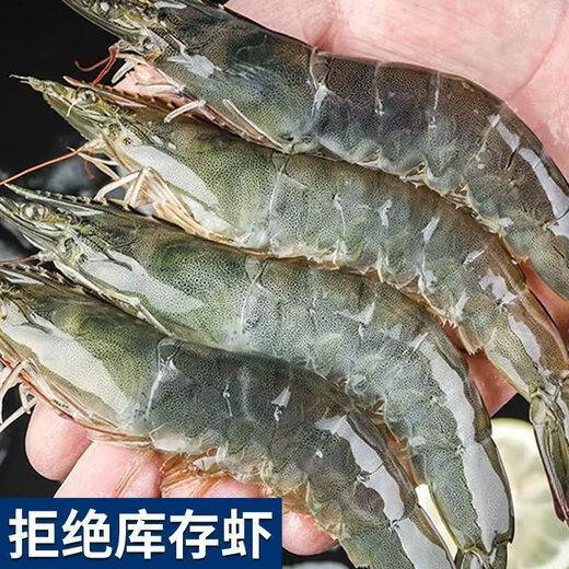 The whale's mouth is wide open, Qingdao shrimp, extra large shrimp, fresh prawns, frozen fresh Qingdao prawns, wholesale whole box of base shrimps, fresh shrimps, 15-17 cm, quick-frozen shrimps, 3 Jin Jin equal to 0.5 kg (net weight)