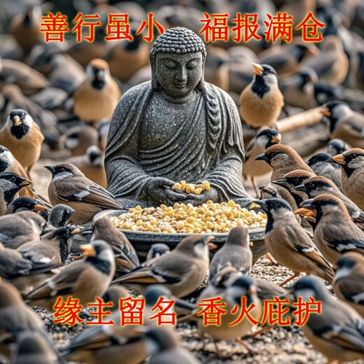Donating bird food, small bird food, pigeons, outdoor bird food, donating sparrows and doves, outdoor feeding bird food, double the blessings, fine mixed merit food) eminent monk, thick merit, seven generations of merit, 10 Jin Jin is equal to 0.5 kg, package