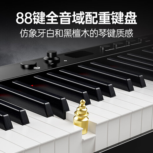 Terence electric piano 88-key hammer piano portable smart electronic piano for home adult BX05 BX05 hammer electric piano
