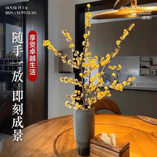 Wintersweet fresh cut flower Australian snow willow hydroponic plant indoor living room desktop New Year's Eve flower potted plant shipped with buds selected wintersweet branches 40-50 cm 4 branches + nutrient solution