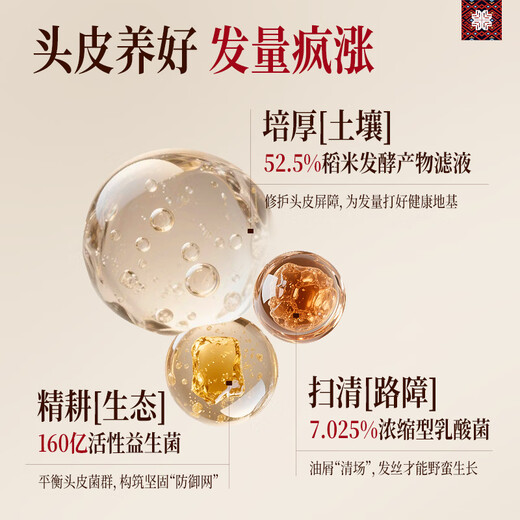 Changfa Xiaozhai Intangible Cultural Heritage & Xinhuanet same style anti-hair loss revitalizing essence 60ml anti-hair loss scalp care solution
