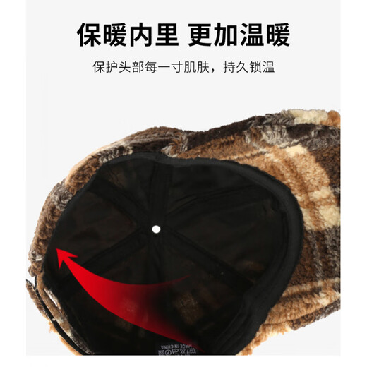 Winter Hat Women's Warm Lamb Wool Baseball Cap Men's Peaked Cap Fashion Trendy Brand Plaid Sun Hat Brown Adjustable (54-60cm)