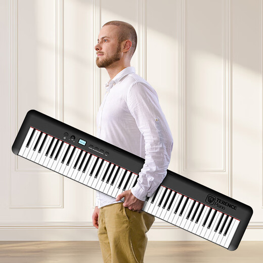 Terence electric piano 88-key hammer piano portable smart electronic piano for home adult BX05 BX05 hammer electric piano