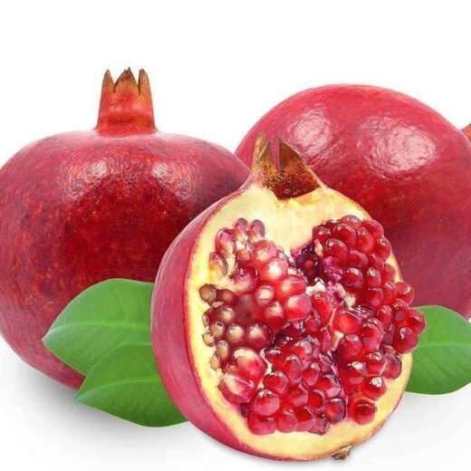 Sweet Crisp Pomegranate Seeds Pure Sweet Pomegranate Seedlings for South and North Planting Cold-resistant Balcony Garden Potted Ground Planting Seeds Sweet Crisp Pomegranate Seeds 5 packs of about 251 capsules