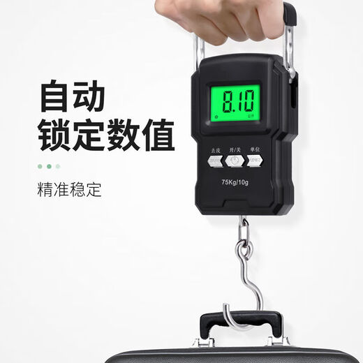 Today's selection (jinxuan) portable electronic scale with tape measure, portable high-precision gram scale, vegetable hook, weighing, portable mini crane scale, spring luggage express scale, ordinary rechargeable model 50 kg without tape measure