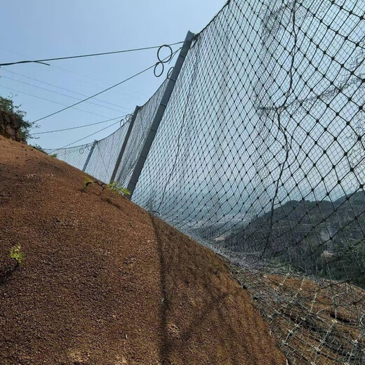 Rümke Slope Protection Net Landslide Flood Control Steel Wire Highway Rockfall Prevention Ring Passive Construction Site Diamond Slope Protection Net Active/Passive Protection Net-Consult customer service when placing an order. Single order will not be shipped. Active Protection Net-Consult customer service when placing an order.