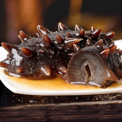 Factory direct sales of authentic wild sea cucumbers and sea cucumbers without ice, fresh deep sea sea cucumbers, high quality sea cucumbers wholesale, 20 extra large king sea cucumbers, net weight 1kg, no ice, vacuum individually packaged