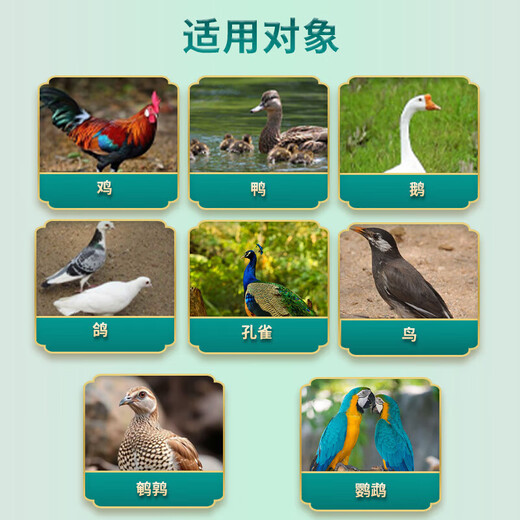 Mehr Eier, mehr Eier, mehr Eier, mehr Eier, mehr Eier, Hühner, Enten und Gänse legen Eier, steigern die Eierproduktion, verändern die Eierqualität, Futterzusätze, speziell für die Eierproduktion, 5 Beutel. Je kälter das Wetter, desto mehr Eier.