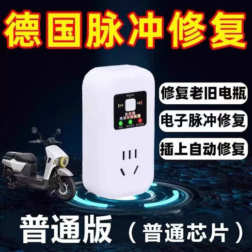 Battery maintenance assistant is suitable for battery vehicles 48V60V72V two-wheel and three-wheel electric vehicles universal smart charger genuine electric vehicle universal pulse repairer (two packs)