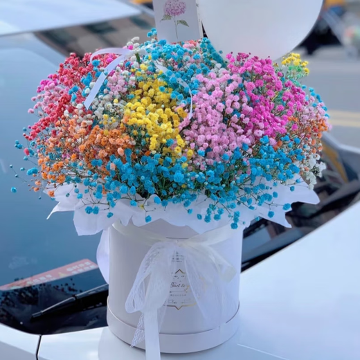 Colorful baby's breath, random color primary color, mixed color, fresh cut flowers, can be used as dried flower base, straight hair, long flowering period, purple baby's breath 100g