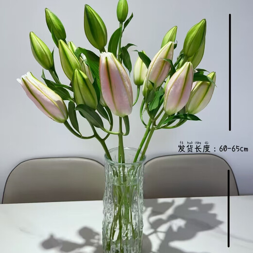 Perfume Lily Flower Shop's Same Style Chinese Valentine's Day Gift Flowers Yunnan Base Straight Hair Mix and Match Fresh Cut Flowers 1 Random Special Price Lily 9 Flowers (Variety and Color Not Specified)