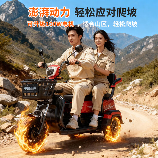 Flying Pigeon Tricycle Electric Car Home Small Elderly Leisure Battery Car Can Bring Carport for Transportation Electric Tricycle 600W Battery Life Version 22A Black Gold + Battery Life 120 Miles