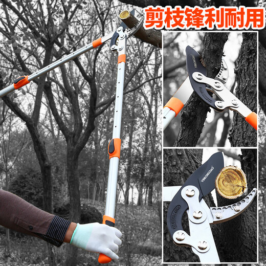 Aoyanlai garden pruning powerful scissors, special fruit tree scissors, three sections 1.3 meters telescopic and extended with a long beak, can cut 90mm