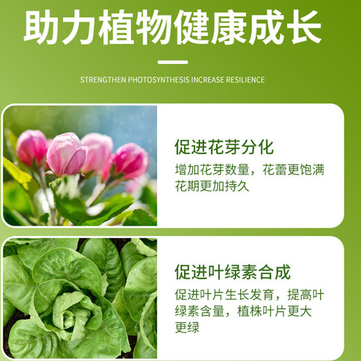 Urea nitrogen fertilizer for growing flowers, vegetables, fruit trees, green plants, household potted fields, general-purpose compound fertilizer, large package of chemical fertilizer, total nitrogen 46% 20Jin Jin equals 0.5 kg