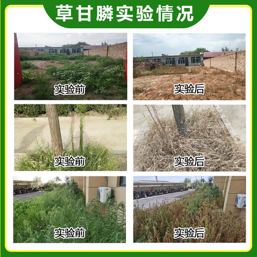 Powerful herbicide, rotten root and dead root herbicide, weed removal and wasteland orchard special herbicide, glyphosate wholesale, genuine glyphosate, 1 large barrel of 5kg