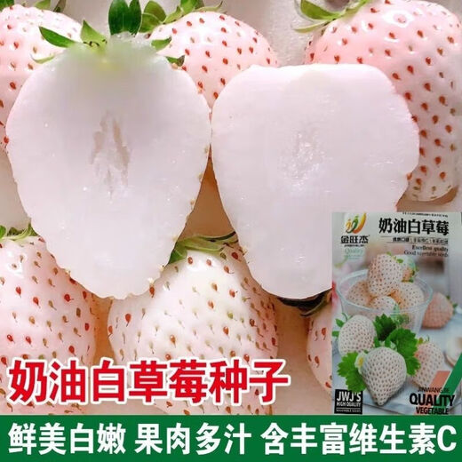 Creamy White Strawberry Seeds Four Seasons White Strawberry Seeds Vegetable Seeds and Beauty Home Potted Balcony Planting Creamy White Strawberry Seeds/Pack About 100 capsules 1 pack