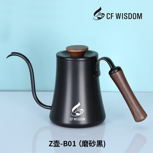 High-end hand-brewed coffee pot, food-grade home outdoor, light luxury, hanging ear-hung hand-brewed kettle, slim mouth, long mouth, high-looking kettle, matte black 600ml
