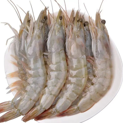 Jiang Qigong Fresh Sea-caught Extra Large White Shrimp Ecuadorian White Shrimp Frozen seafood kept fresh with ice Four Jin Jin is equal to 0.5 kg, packed Four Jin Jin is equal to 0.5 kg, packed large white shrimp 12-16 cm