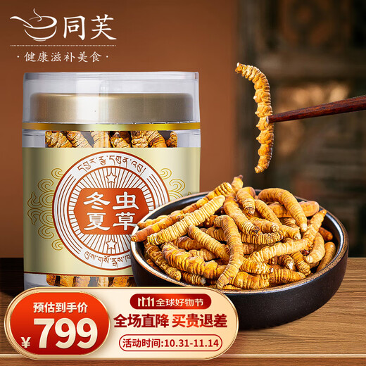 同芙 冬虫夏草断草10g约20根 全虫大号纯肉节 滋补营养补品自食性价比