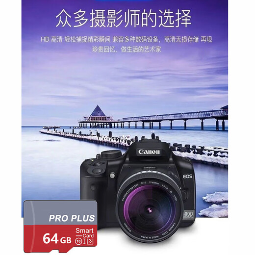 【正品足量】高速内存卡TF卡监控摄像头行车记录仪无人机通用16G 32G 64G闪存卡SD卡红灰卡 100GB【高速内存卡+SD卡套】